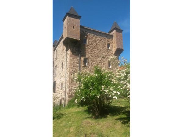 Chambres D Hotes Chateau D Arcis Les Granges  Экстерьер фото